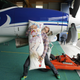 Illustration for article titled Pure Nerd Insanity: Two Men Skydiving with a Girly Hug Pillow